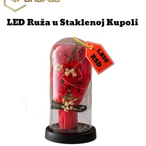 Ruža u Staklenoj Kupoli