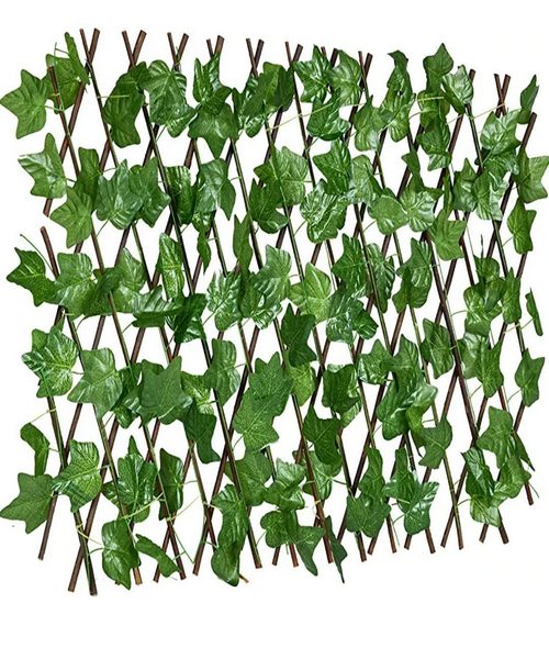 Živa Ograda - Paravan za Razvlačenje - Image 3
